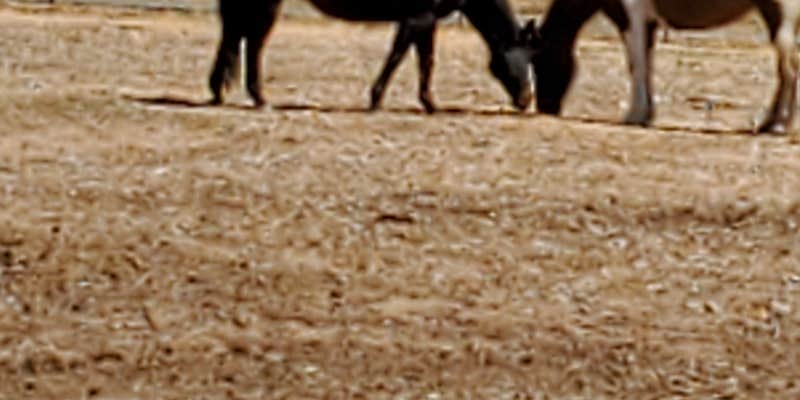 Camper submitted image from Red Hook Gate