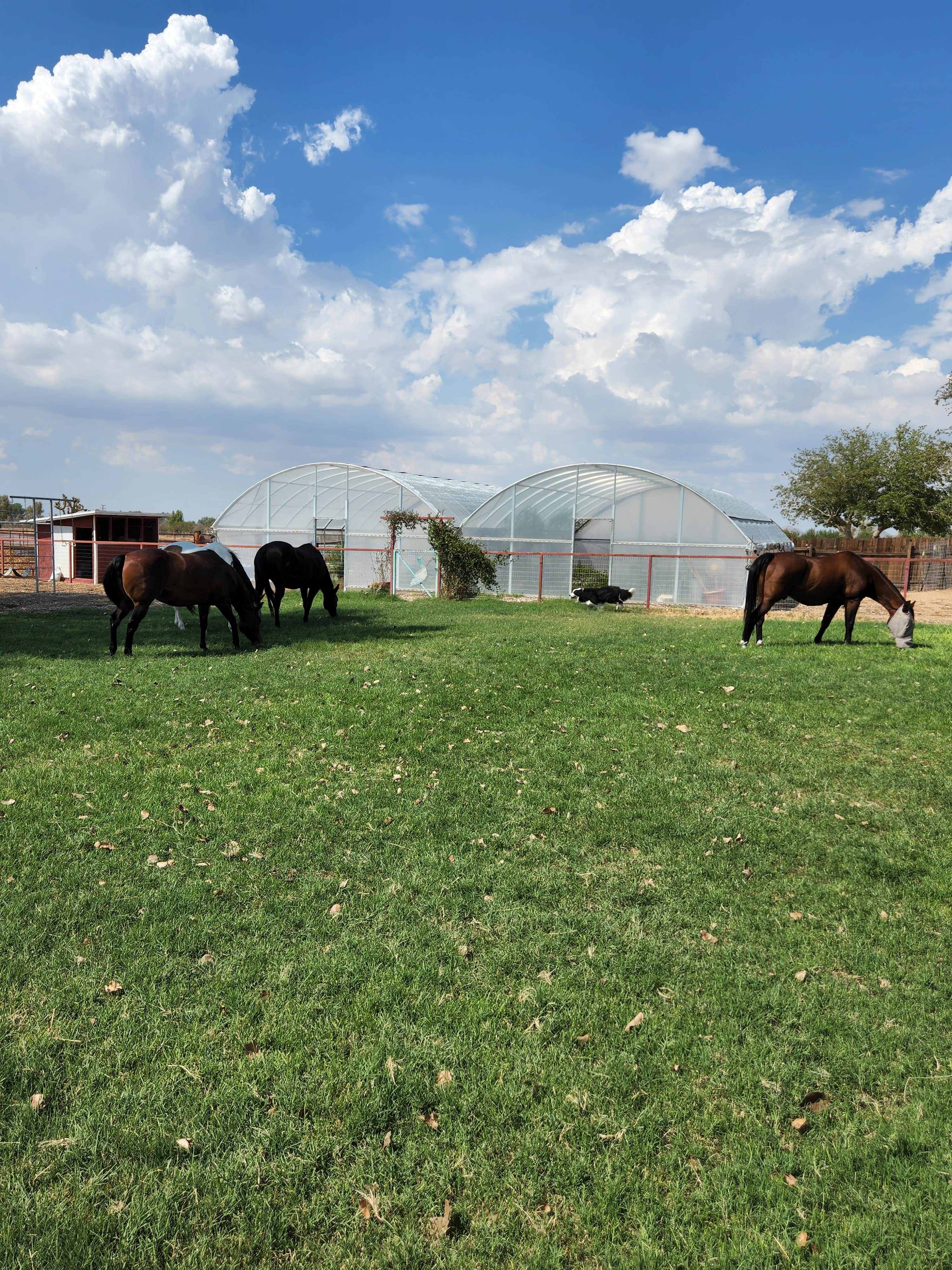Camper-submitted photo at Red Hook Gate near Running Springs, CA