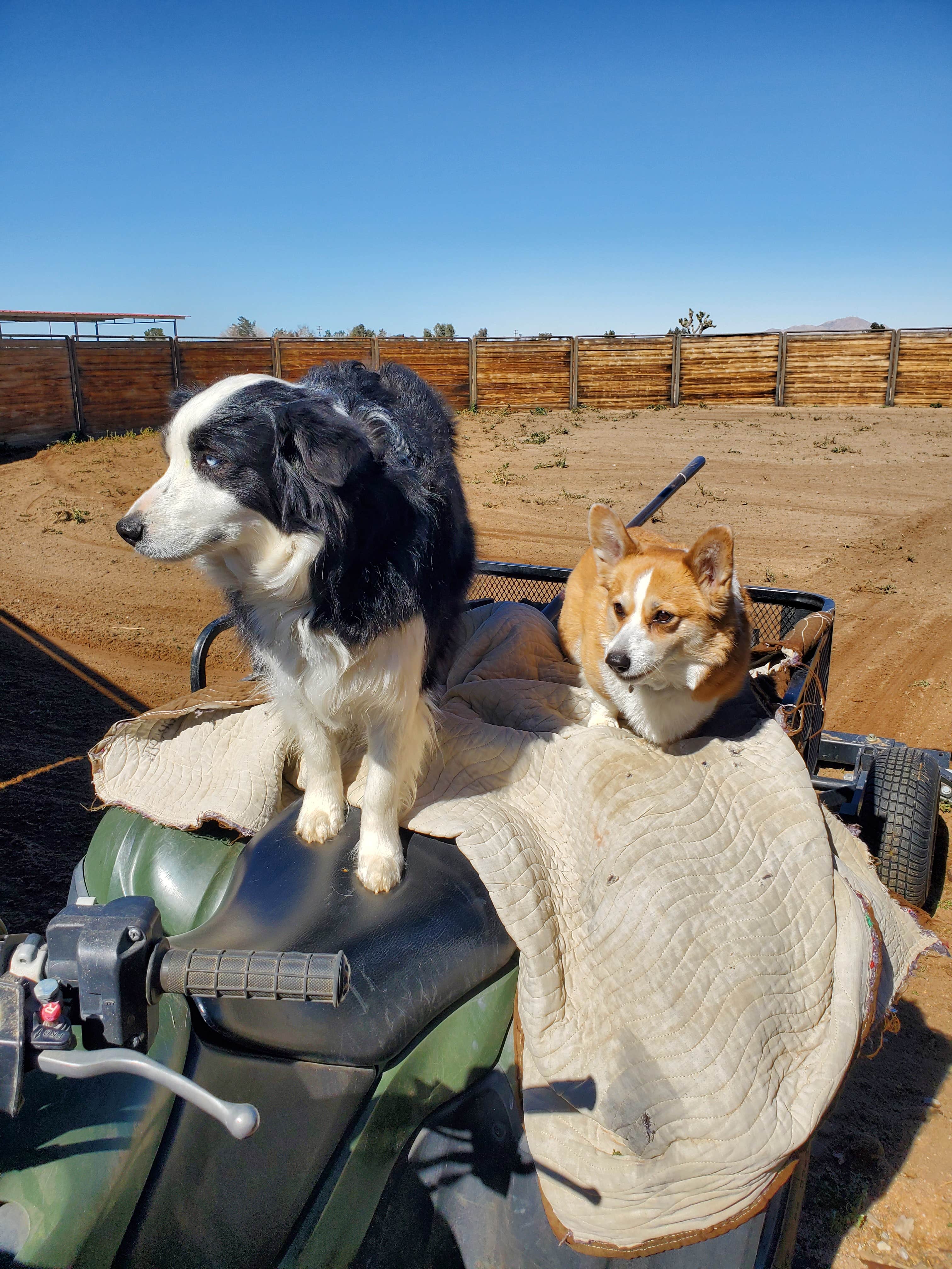 Camper-submitted photo at Red Hook Gate near Running Springs, CA