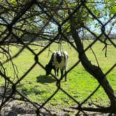 Review photo of Treasure Coast RV Park by Whit J., March 1, 2023