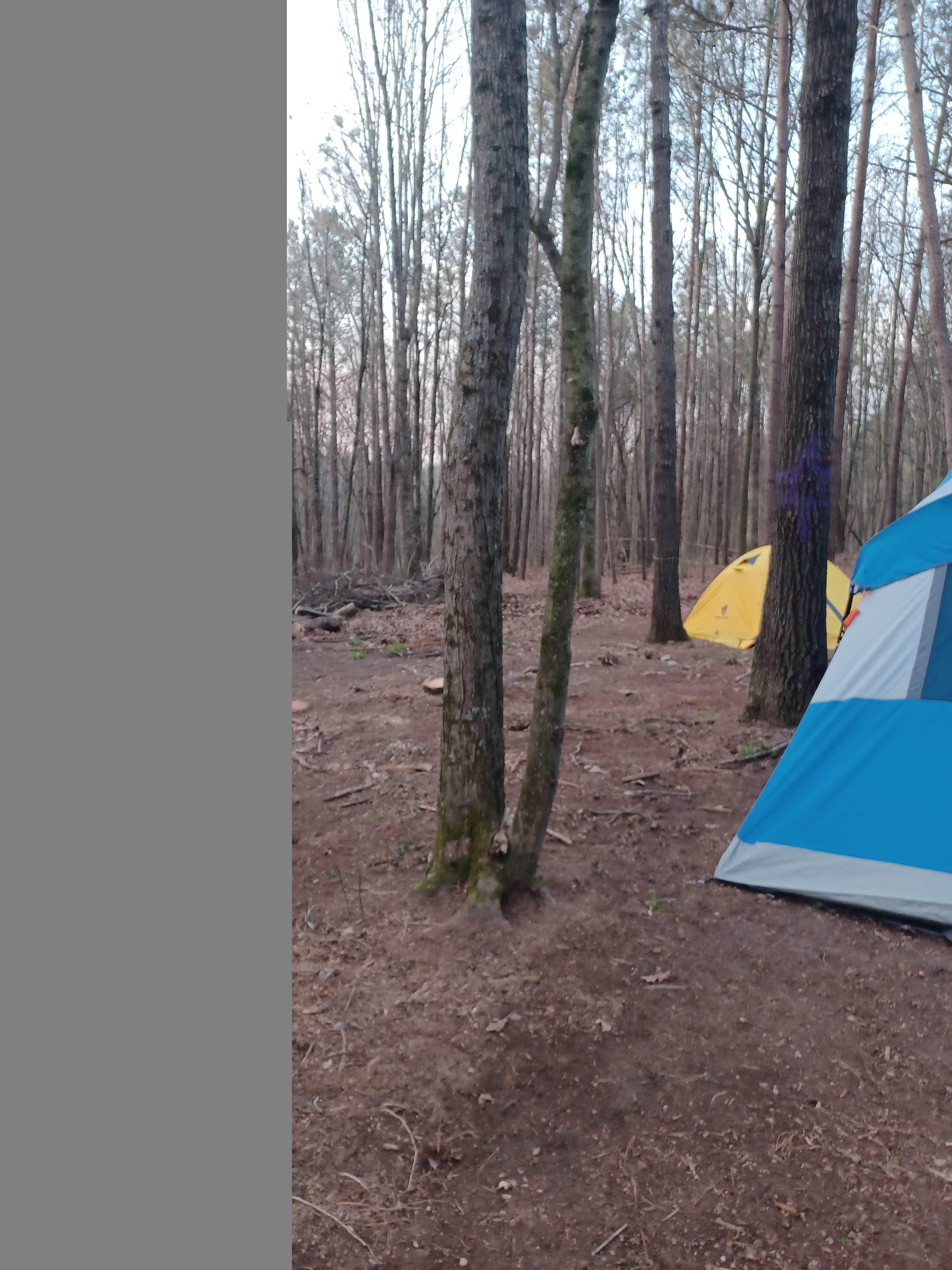 Camper submitted image from Coble's Landing - 3