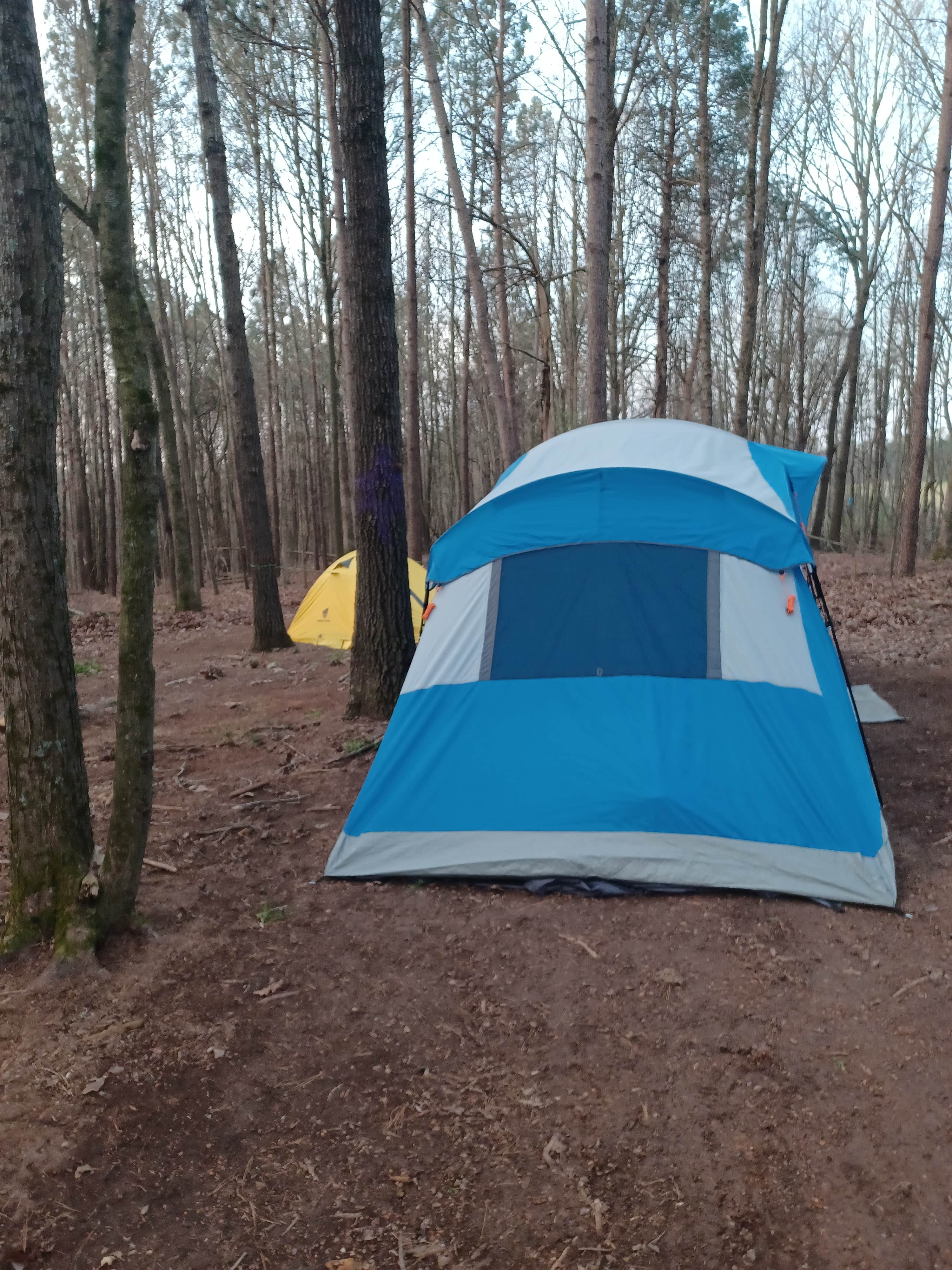 Camper-submitted photo at Coble's Landing near Wadesboro, NC