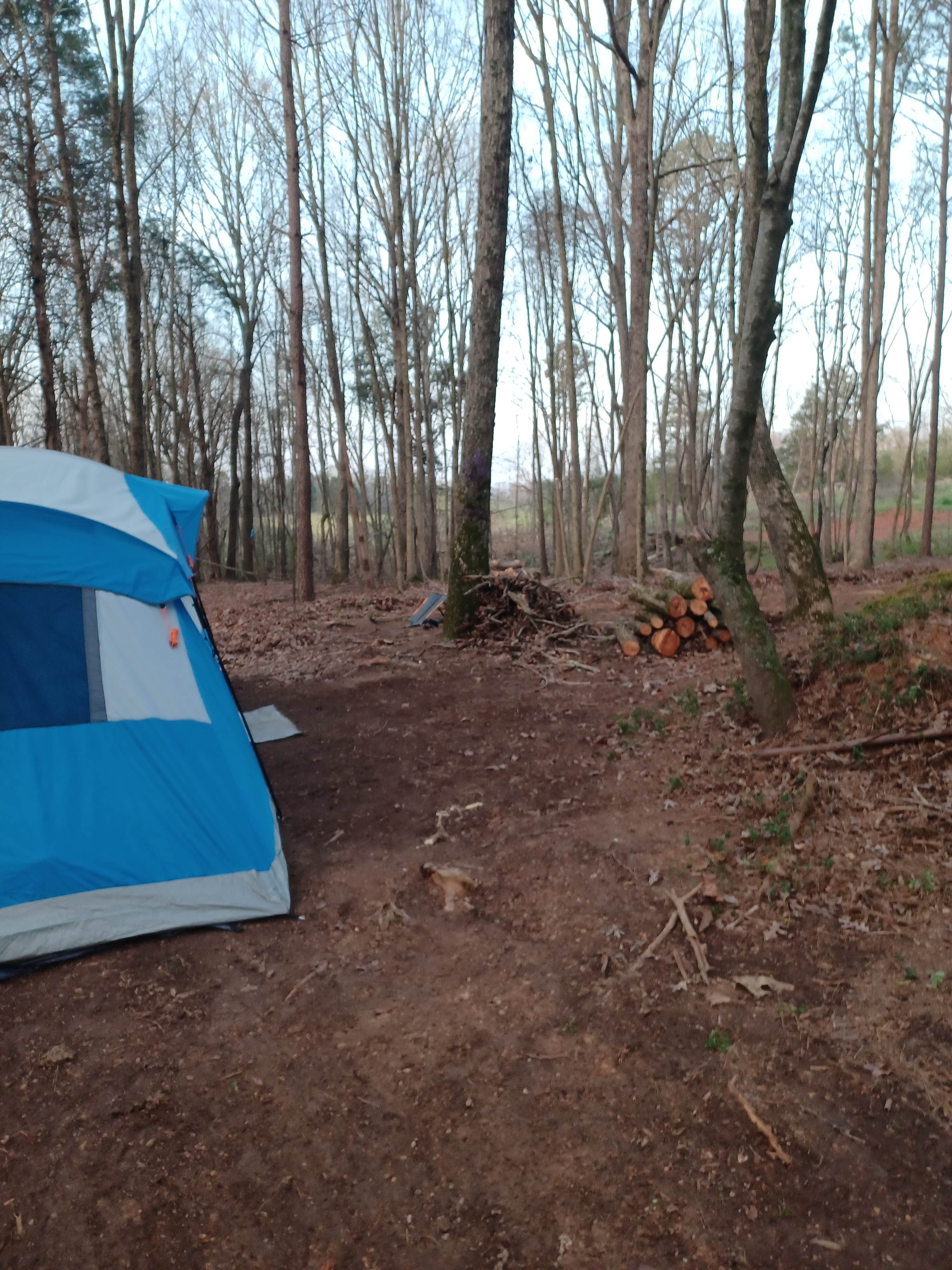 Camper-submitted photo at Coble's Landing near Wadesboro, NC