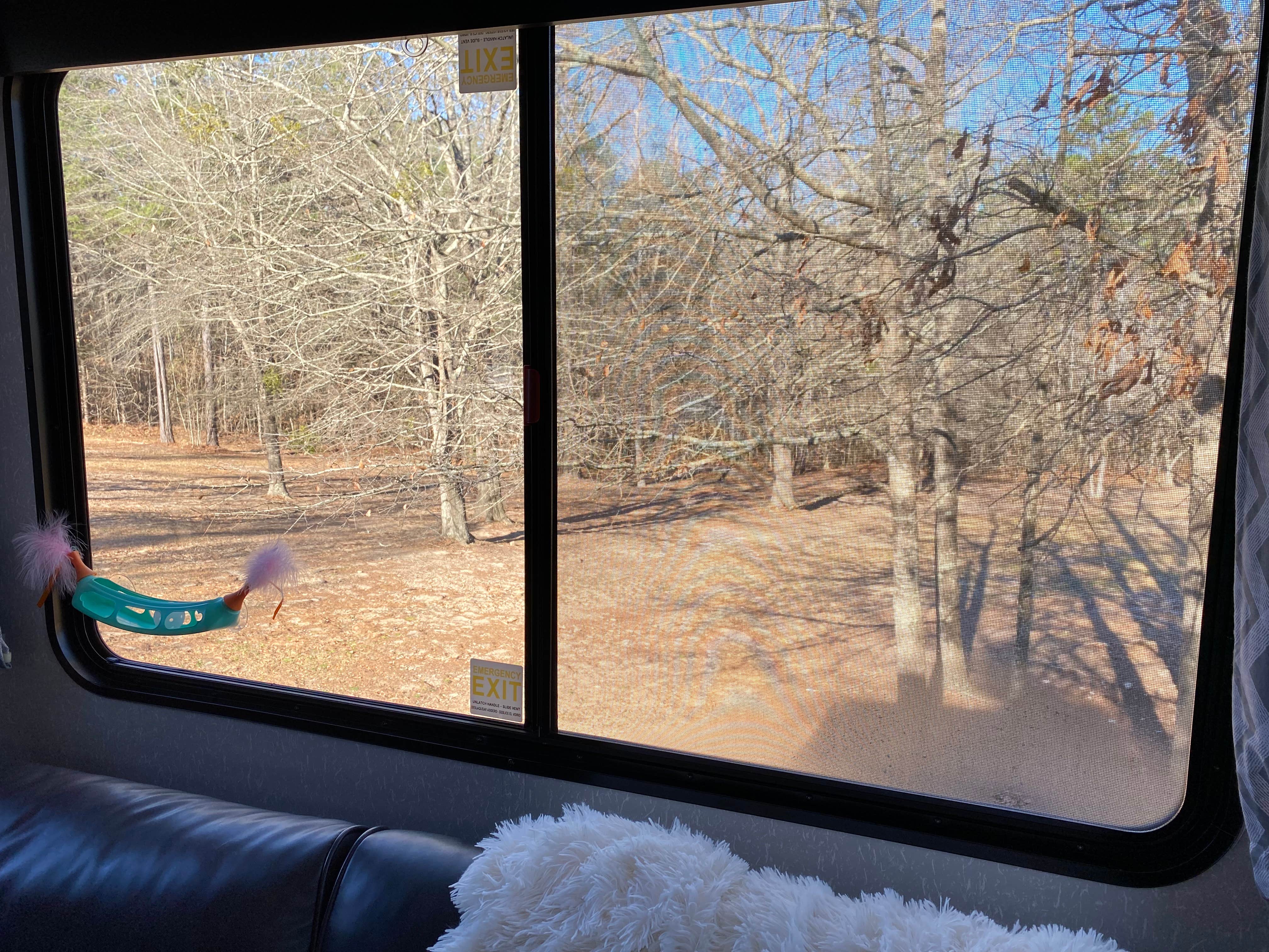 Camper-submitted photo at Scenic Mountain RV Park near Perry, GA