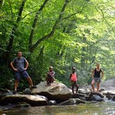 Review photo of Cades Cove Campground by Sunshine S., August 14, 2016