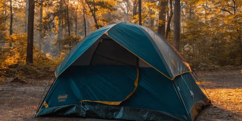 Camper submitted image from Ladd Pond Cabins And Campground