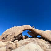 Review photo of Jumbo Rocks Campground — Joshua Tree National Park by Sandra S., March 2, 2023