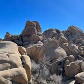 Review photo of Jumbo Rocks Campground — Joshua Tree National Park by Sandra S., March 2, 2023