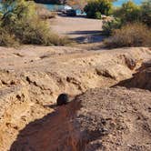 Review photo of BLM Senator Wash Reservoir North Shore by Beth M., March 2, 2023