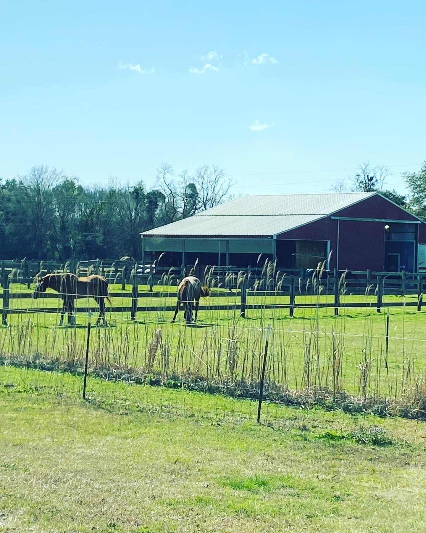 Camper-submitted photo at Homestead RV Community near Dauphin Island, AL