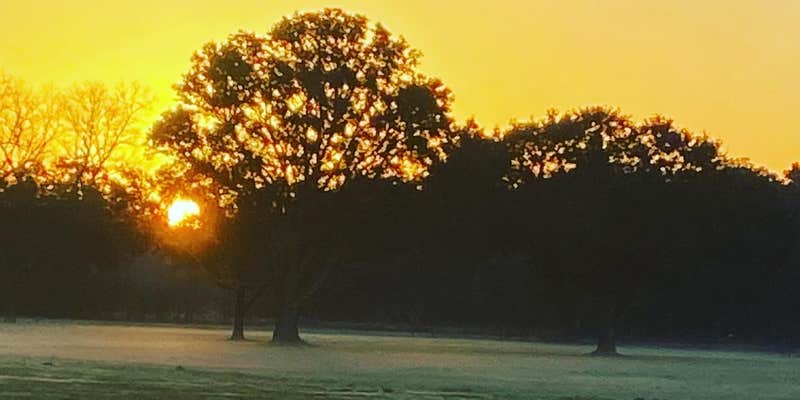 Camper submitted image from Homestead RV Community