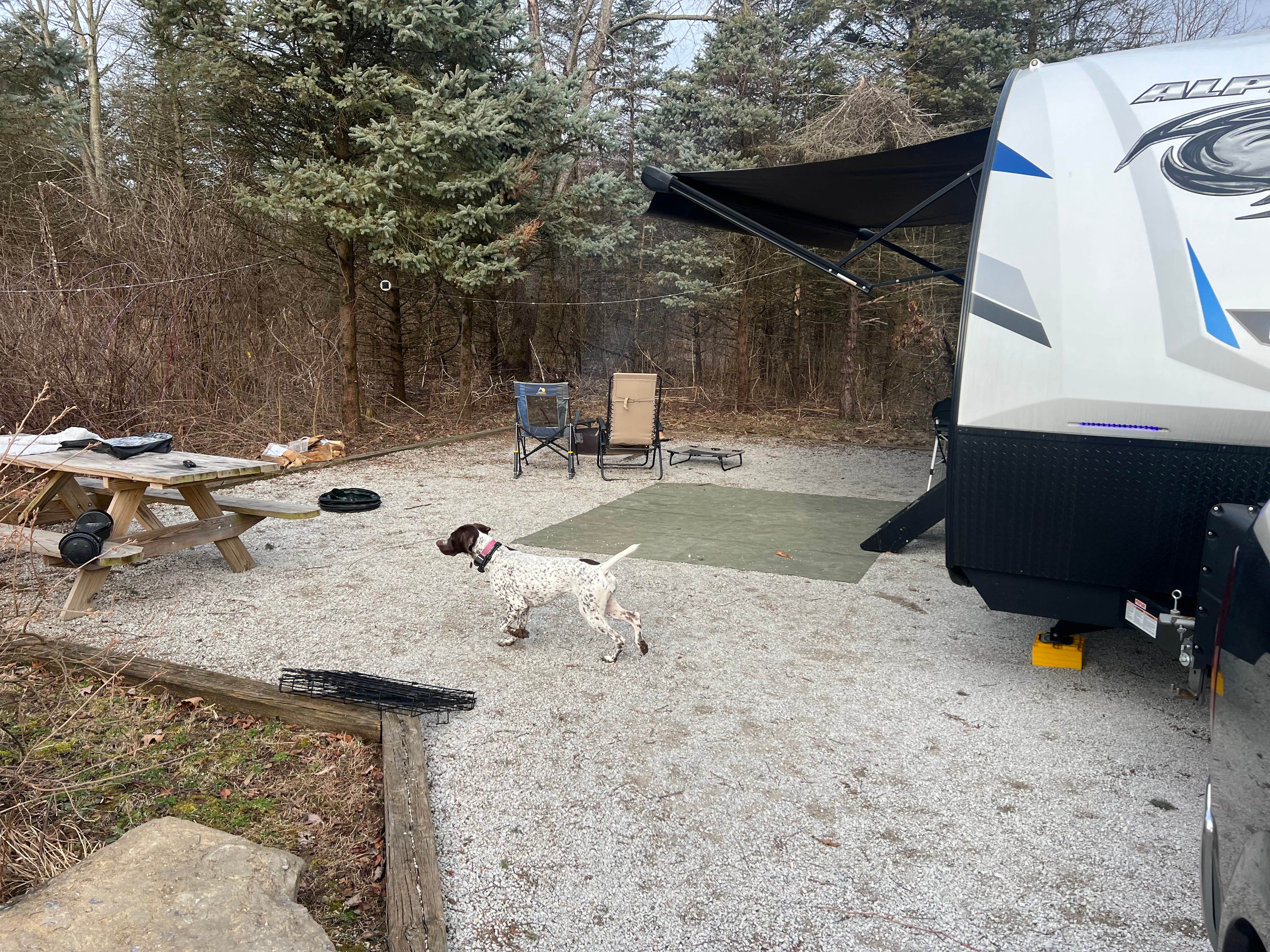 Scott B.'s photo of camping with pets at Prophetstown State Park Campground near Monticello, IN
