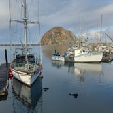 Review photo of Cypress Morro Bay RV Park by David R., March 2, 2023