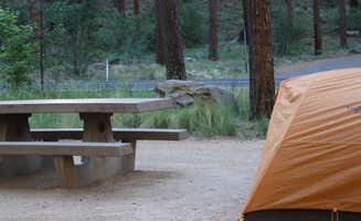 Annie C.'s photo at Pinegrove Campground near Leupp, AZ