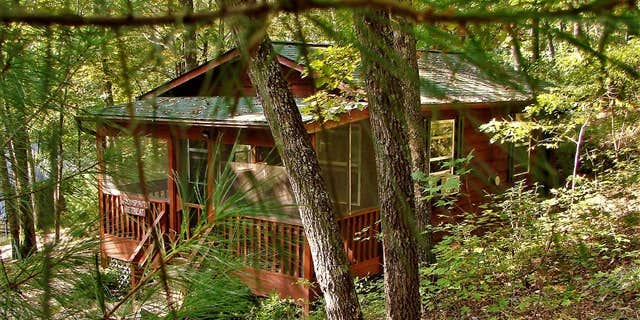 Camper submitted image from Ash Grove Mountain Cabins & Camping