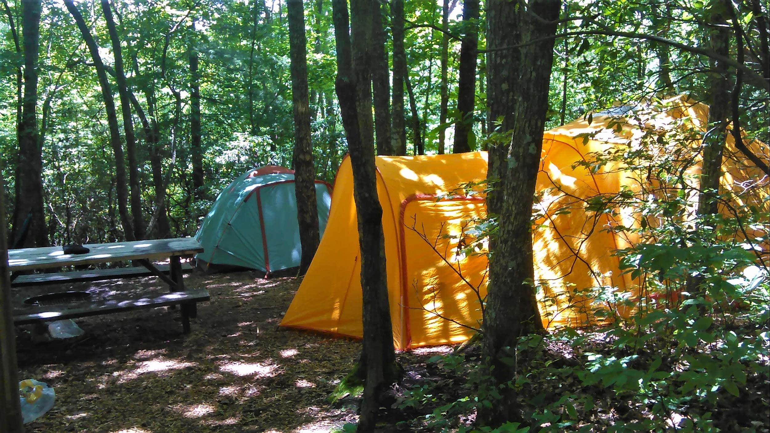 The Dyrt's photo at Ash Grove Mountain Cabins & Camping near Slater, SC