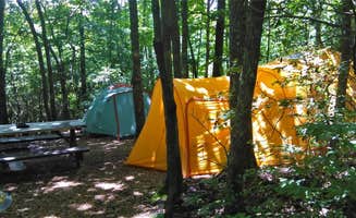 The Dyrt's photo at Ash Grove Mountain Cabins & Camping near Tuxedo, NC