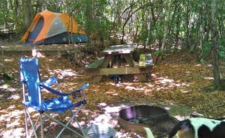 The Dyrt's photo of camping with pets at Ash Grove Mountain Cabins & Camping near Sunset, SC