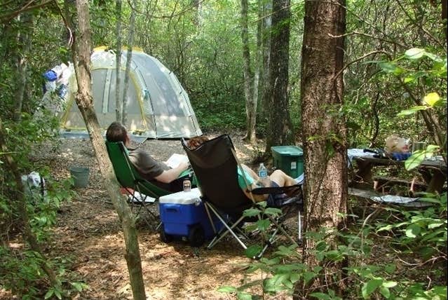 The Dyrt's photo at Ash Grove Mountain Cabins & Camping near Rosman, NC