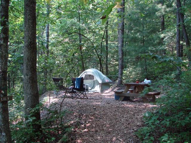 The Dyrt's photo at Ash Grove Mountain Cabins & Camping near Travelers Rest, SC