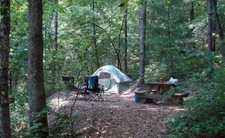 The Dyrt's photo at Ash Grove Mountain Cabins & Camping near Rosman, NC