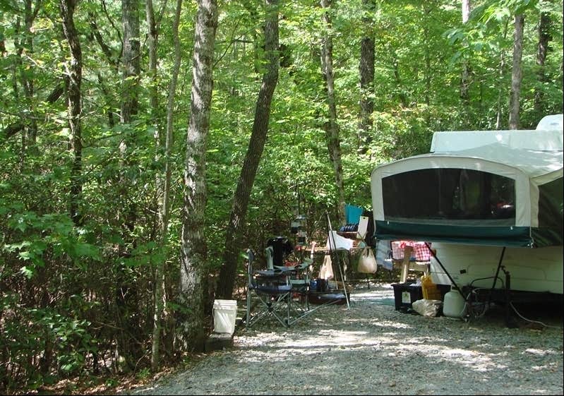 The Dyrt's photo at Ash Grove Mountain Cabins & Camping near Slater-Marietta, SC