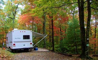 The Dyrt's photo of rv camping at Ash Grove Mountain Cabins & Camping near Hendersonville, NC