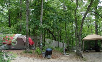 The Dyrt's photo at Ash Grove Mountain Cabins & Camping near Rosman, NC