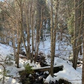 Review photo of Goat Meadow - Dispersed Camp Site by Emerzon , March 2, 2023