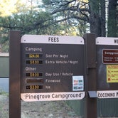 Review photo of Pinegrove Campground by Annie C., October 1, 2018