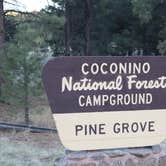 Review photo of Pinegrove Campground by Annie C., October 1, 2018