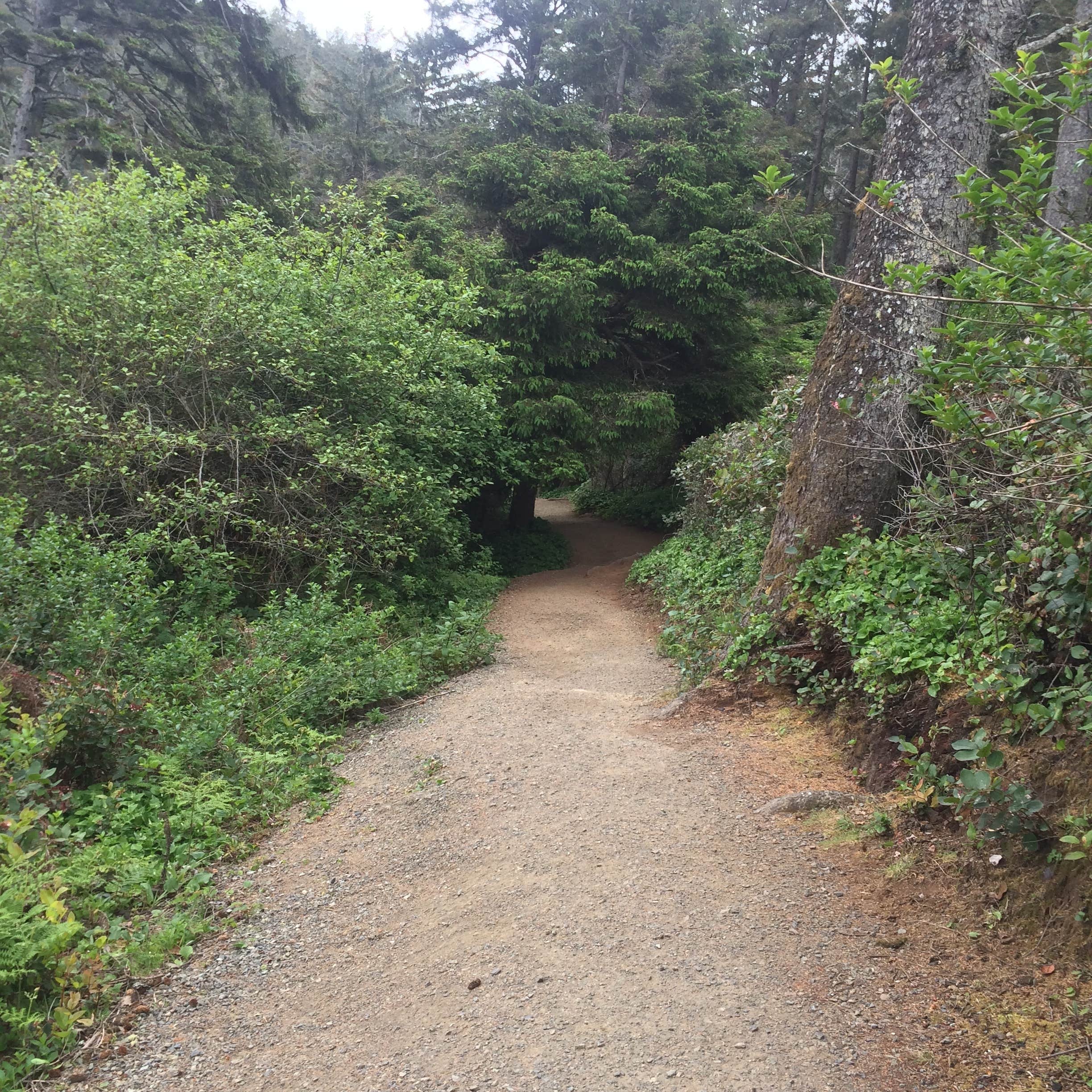 Camper submitted image from Agate Campground — Sue-meg State Park - 3