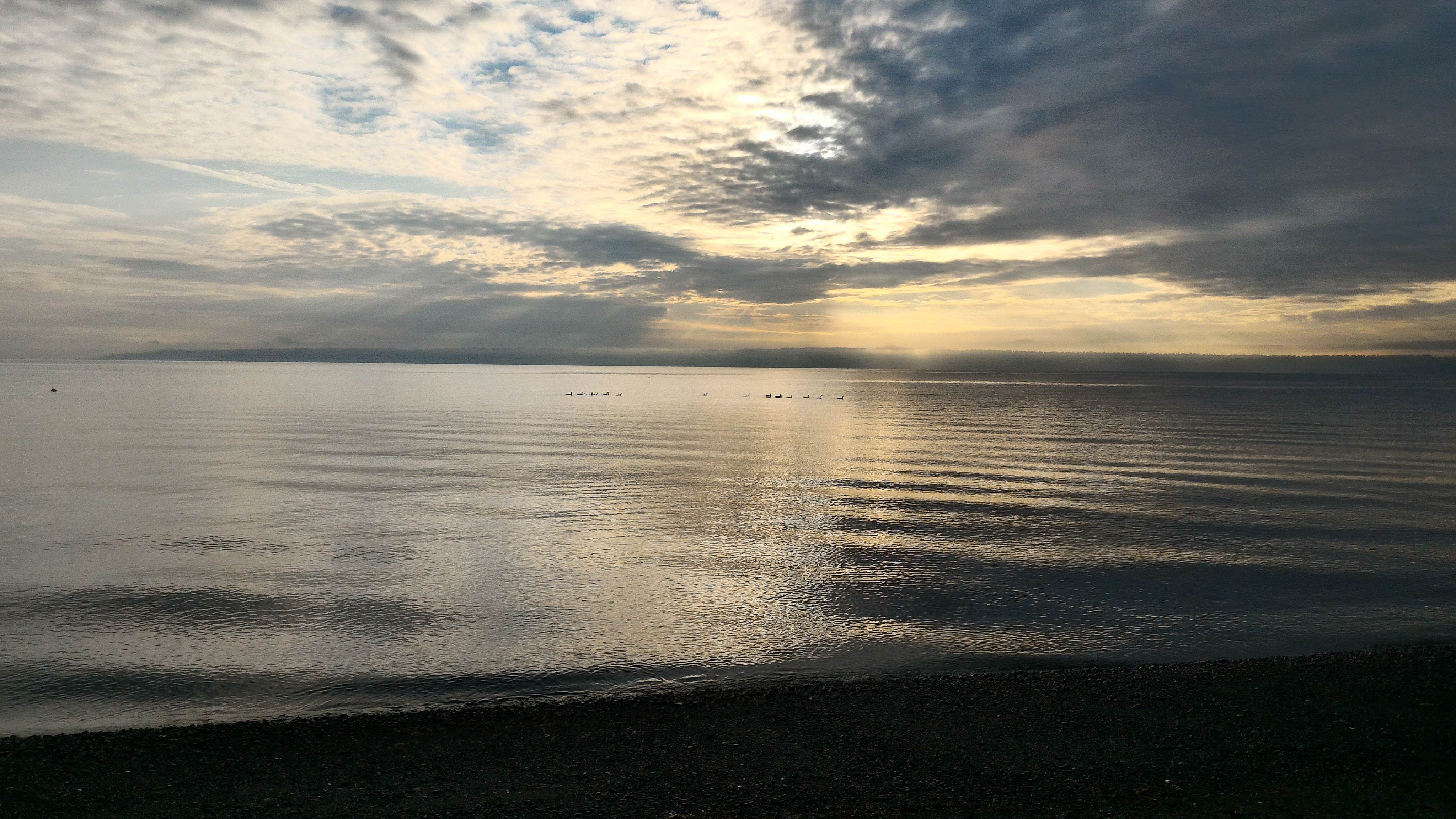 Camper-submitted photo at Fay Bainbridge Park near Port Ludlow, WA