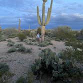 Review photo of Cactus Forest Dispersed Site by Austin , March 2, 2023