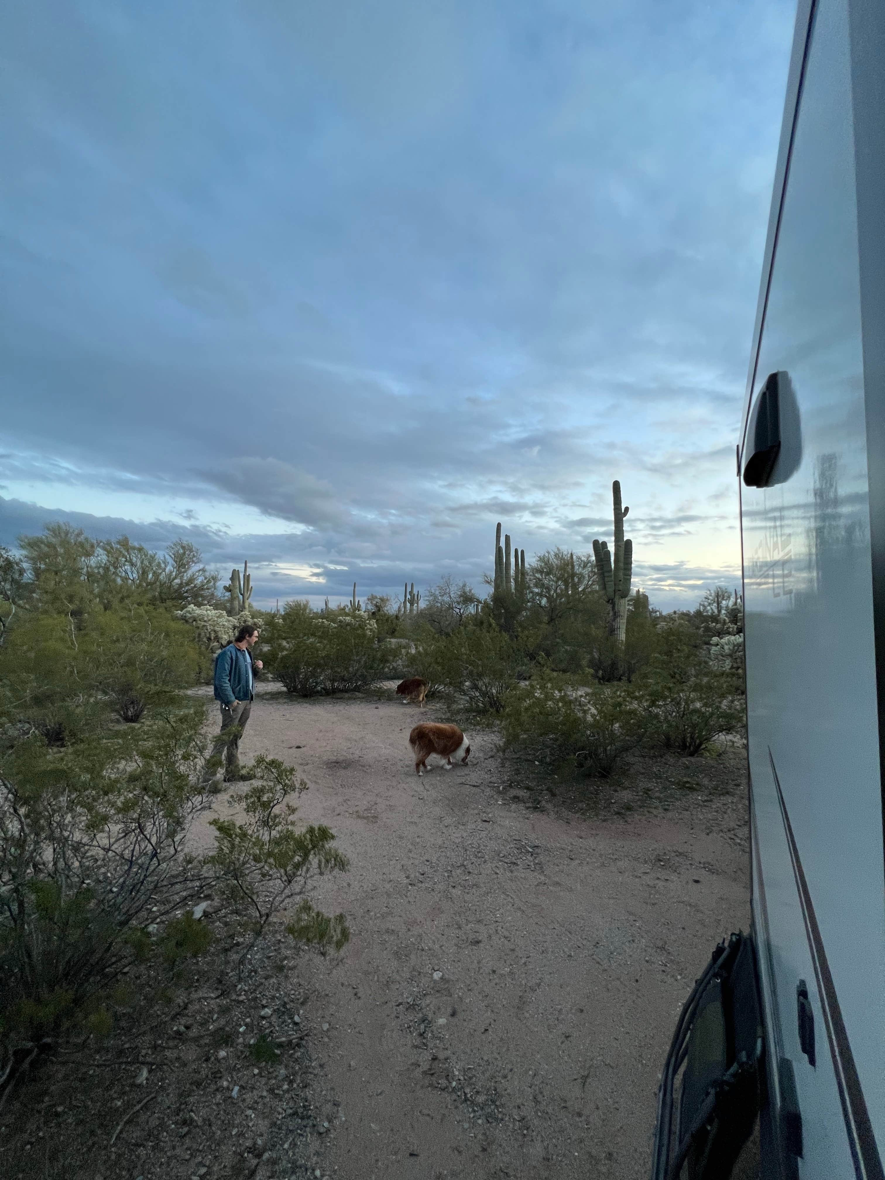 Austin's photo of camping with pets at Cactus Forest Dispersed Site near Picacho, AZ