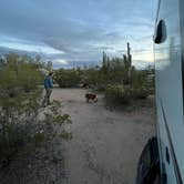 Review photo of Cactus Forest Dispersed Site by Austin , March 2, 2023