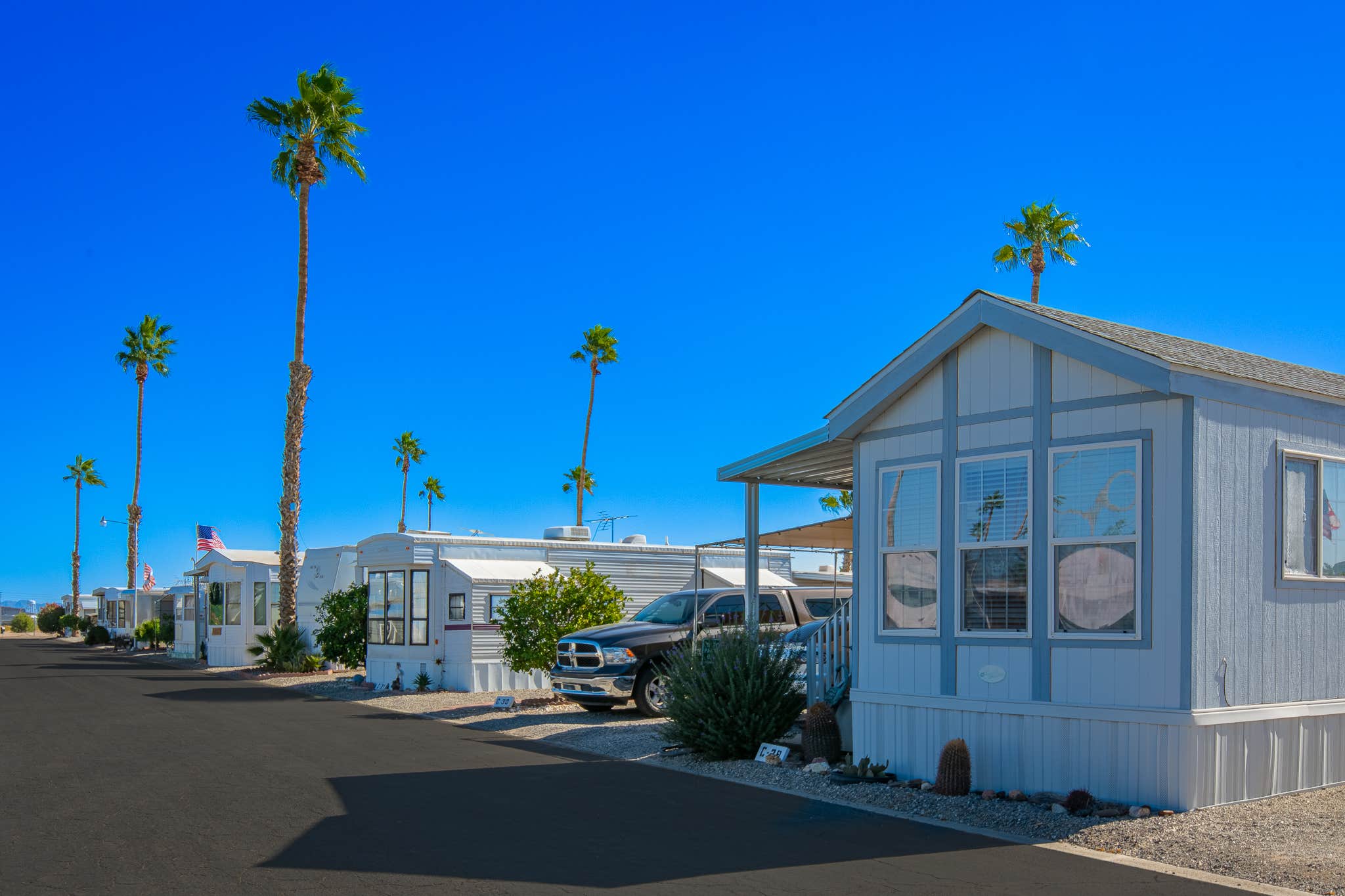 Camper-submitted photo at Desert Holiday RV Resort near Winterhaven, CA