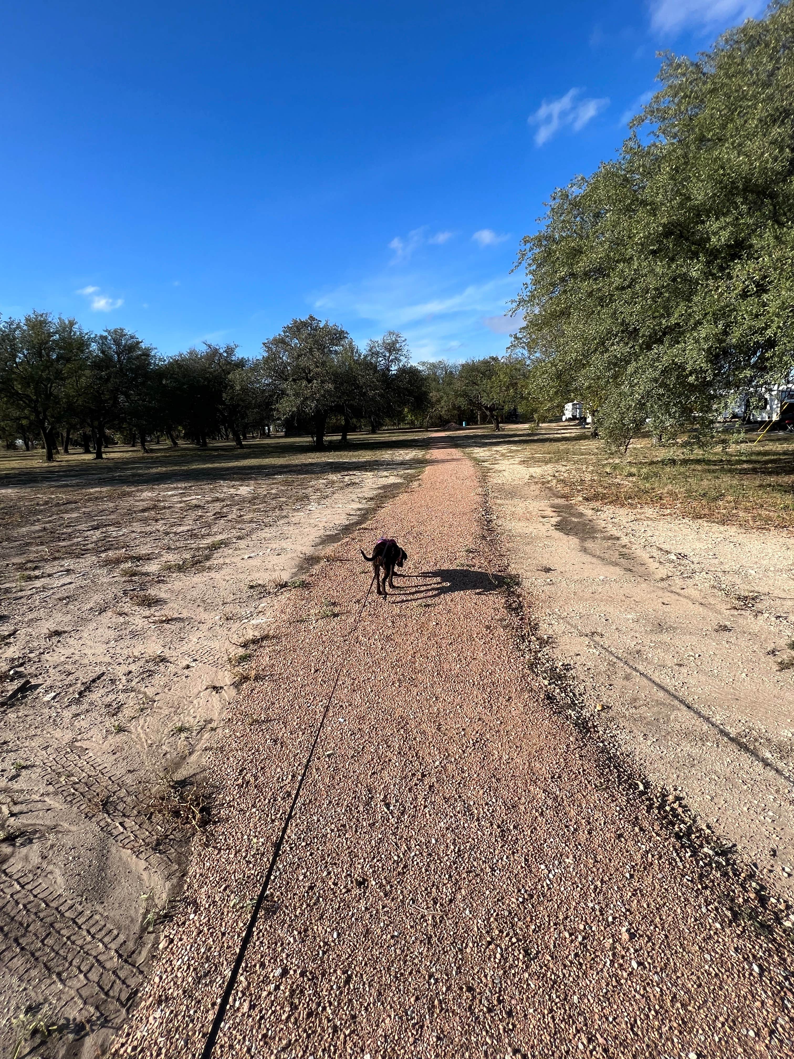 Bill B.'s photo of camping with pets at Green Deer RV Park near Dublin, TX