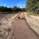 Review photo of Green Deer RV Park by Bill B., December 5, 2022