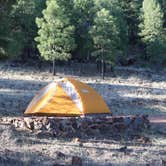 Review photo of Pine Flat Campground West by Annie C., October 1, 2018