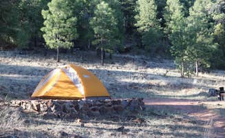 Annie C.'s photo at Pine Flat Campground West near Munds Park, AZ