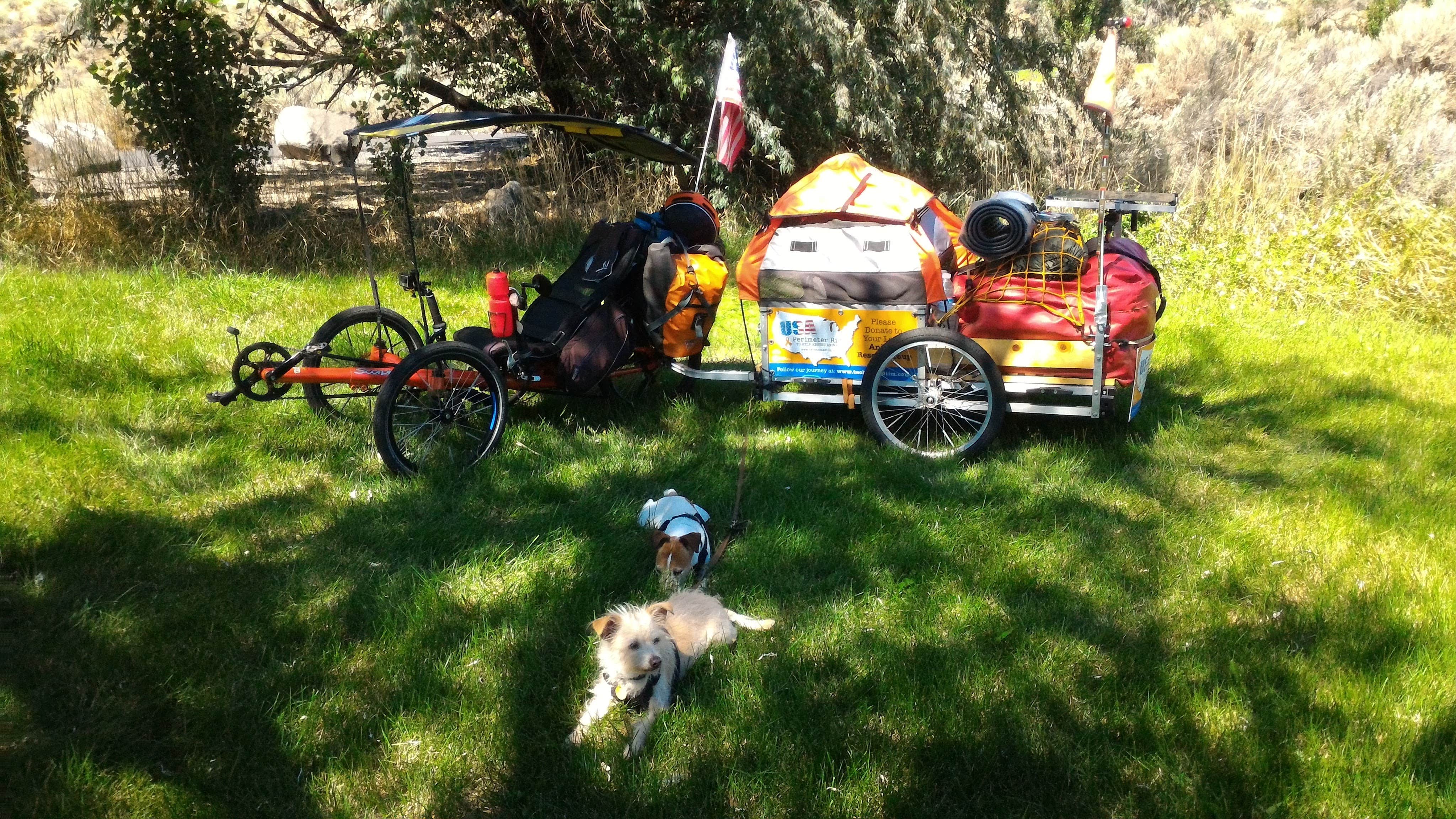 Tim J.'s photo of camping with pets at Ginkgo Petrified Forest State Park Campground near Yakima, WA