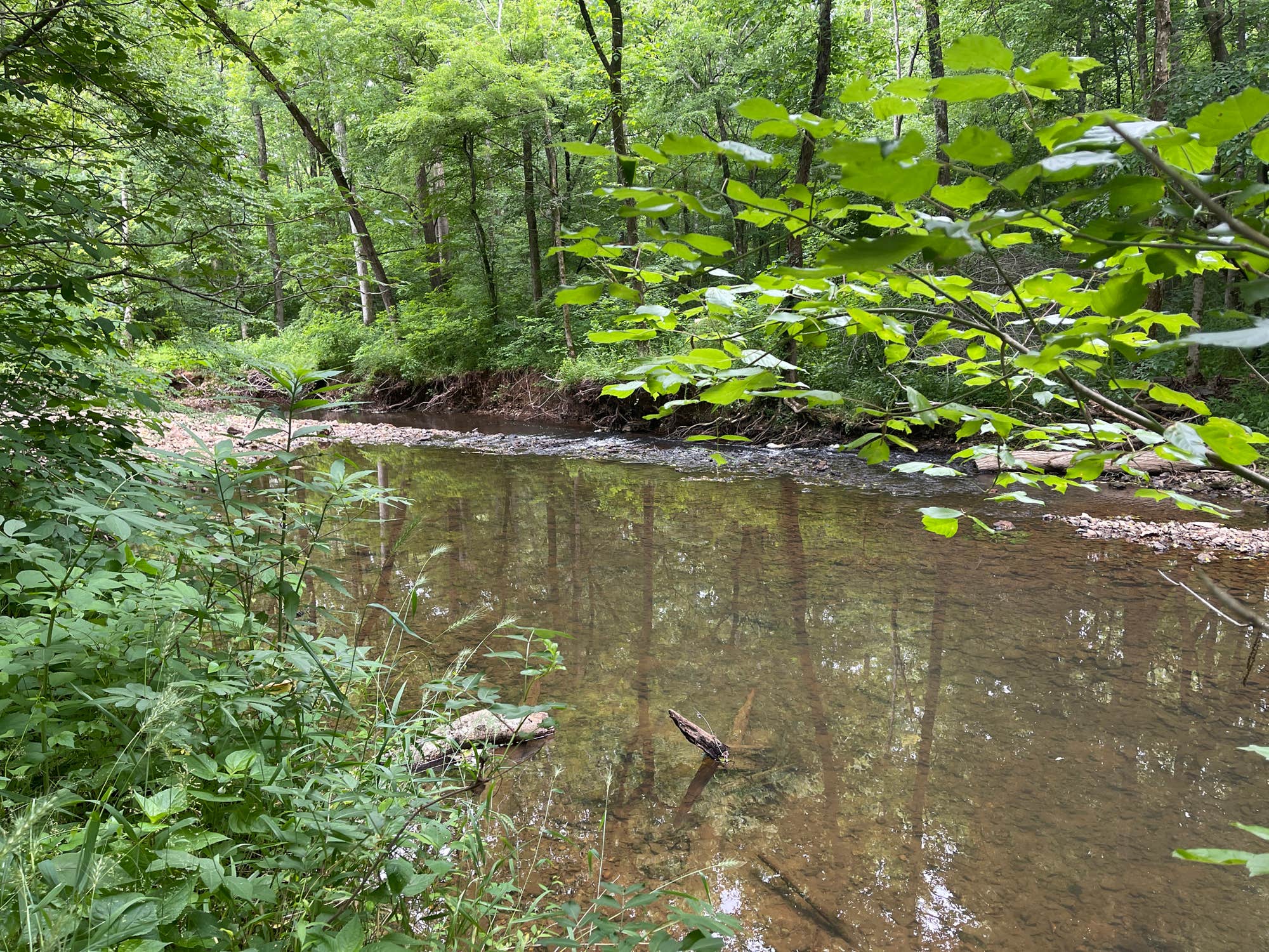 Camper-submitted photo at Red Coach Resort near Union Grove, AL