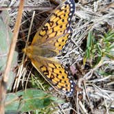 Review photo of Dixie Creek Campground — East Canyon State Park by Alan B., October 1, 2018