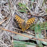 Review photo of Dixie Creek Campground — East Canyon State Park by Alan B., October 1, 2018