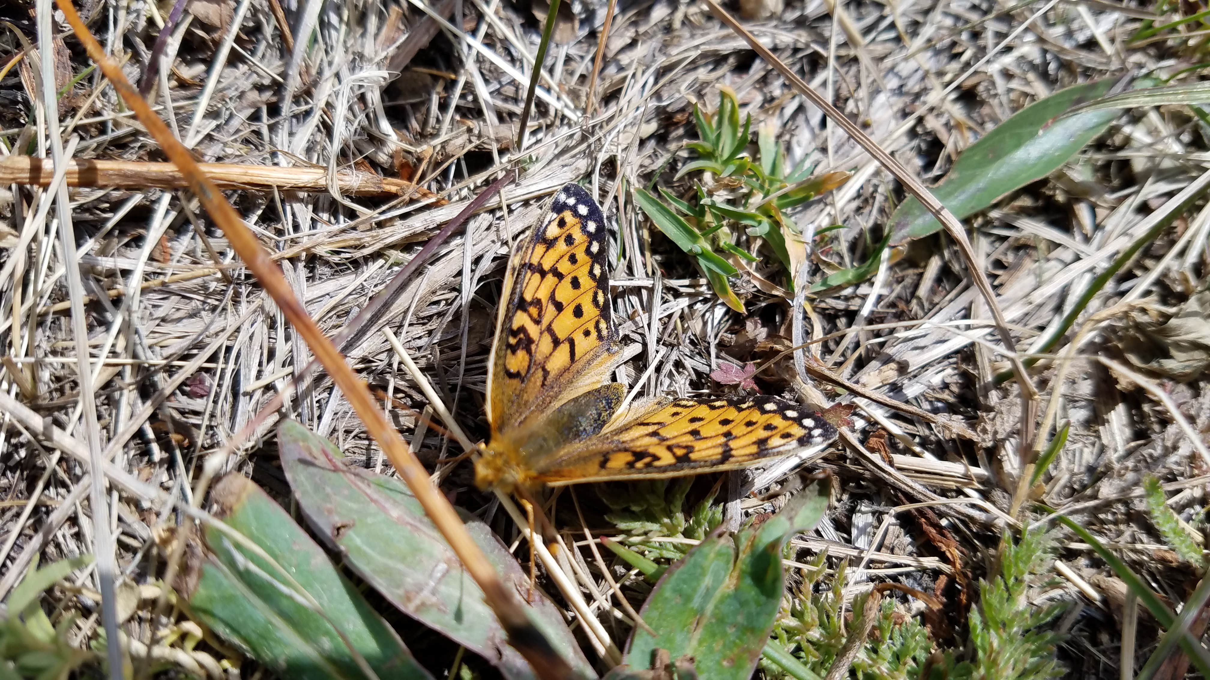 Camper-submitted photo at Dixie Creek Campground — East Canyon State Park near Evanston, WY
