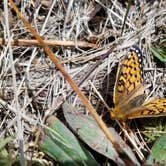 Review photo of Dixie Creek Campground — East Canyon State Park by Alan B., October 1, 2018