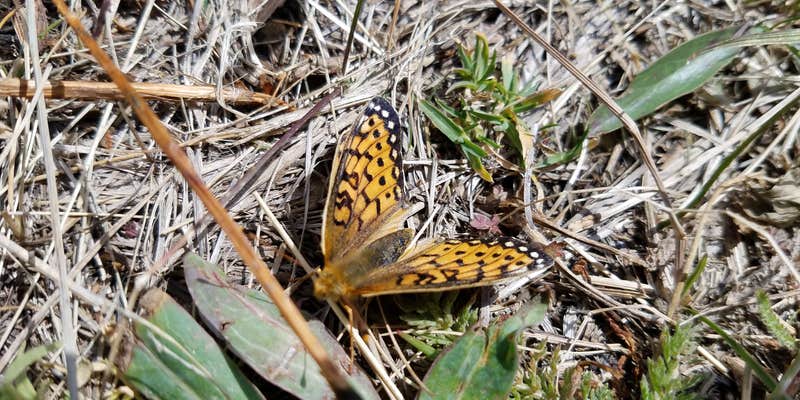 Camper submitted image from Dixie Creek Campground — East Canyon State Park