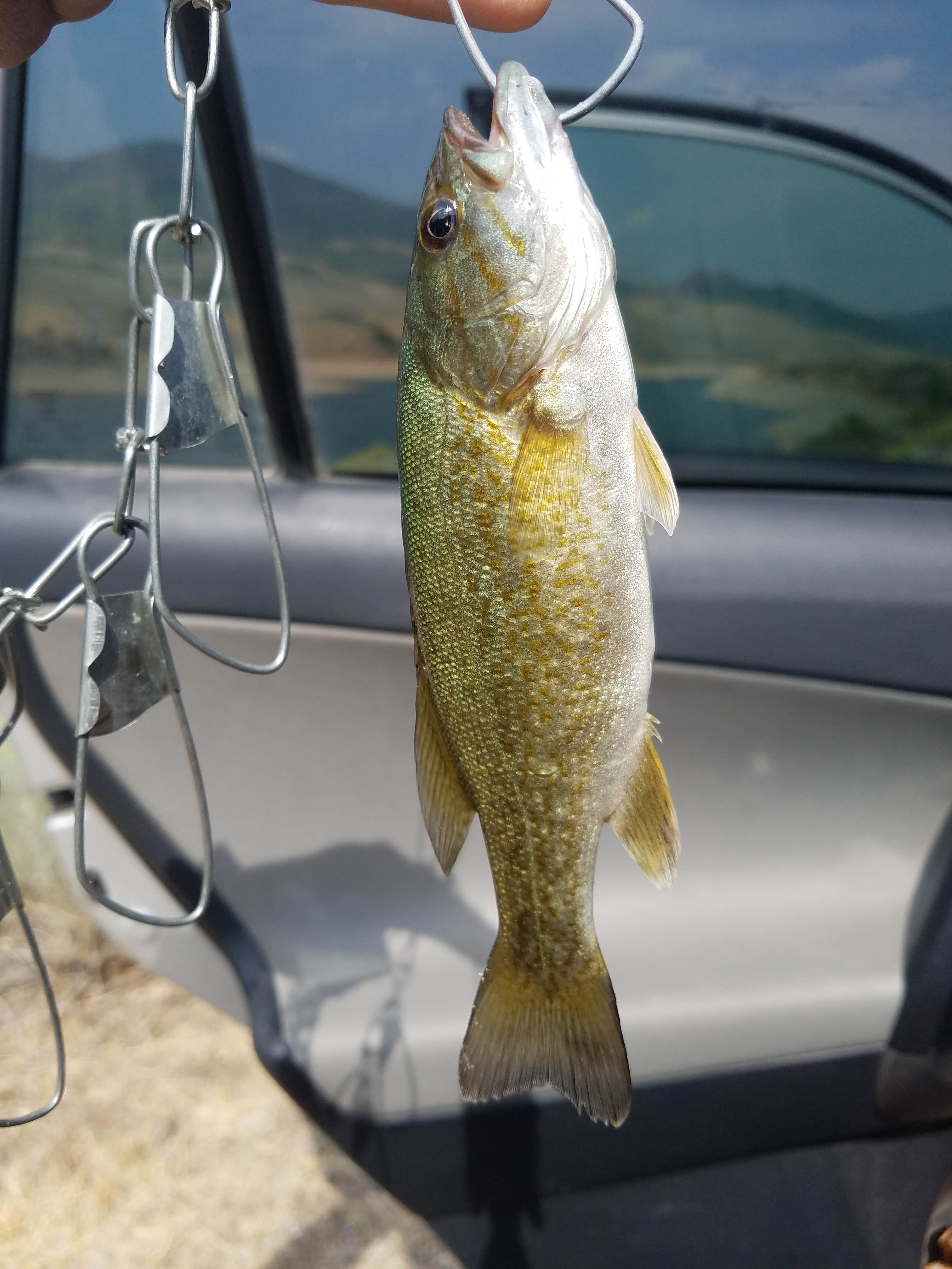 Camper-submitted photo at Dixie Creek Campground — East Canyon State Park near Evanston, WY