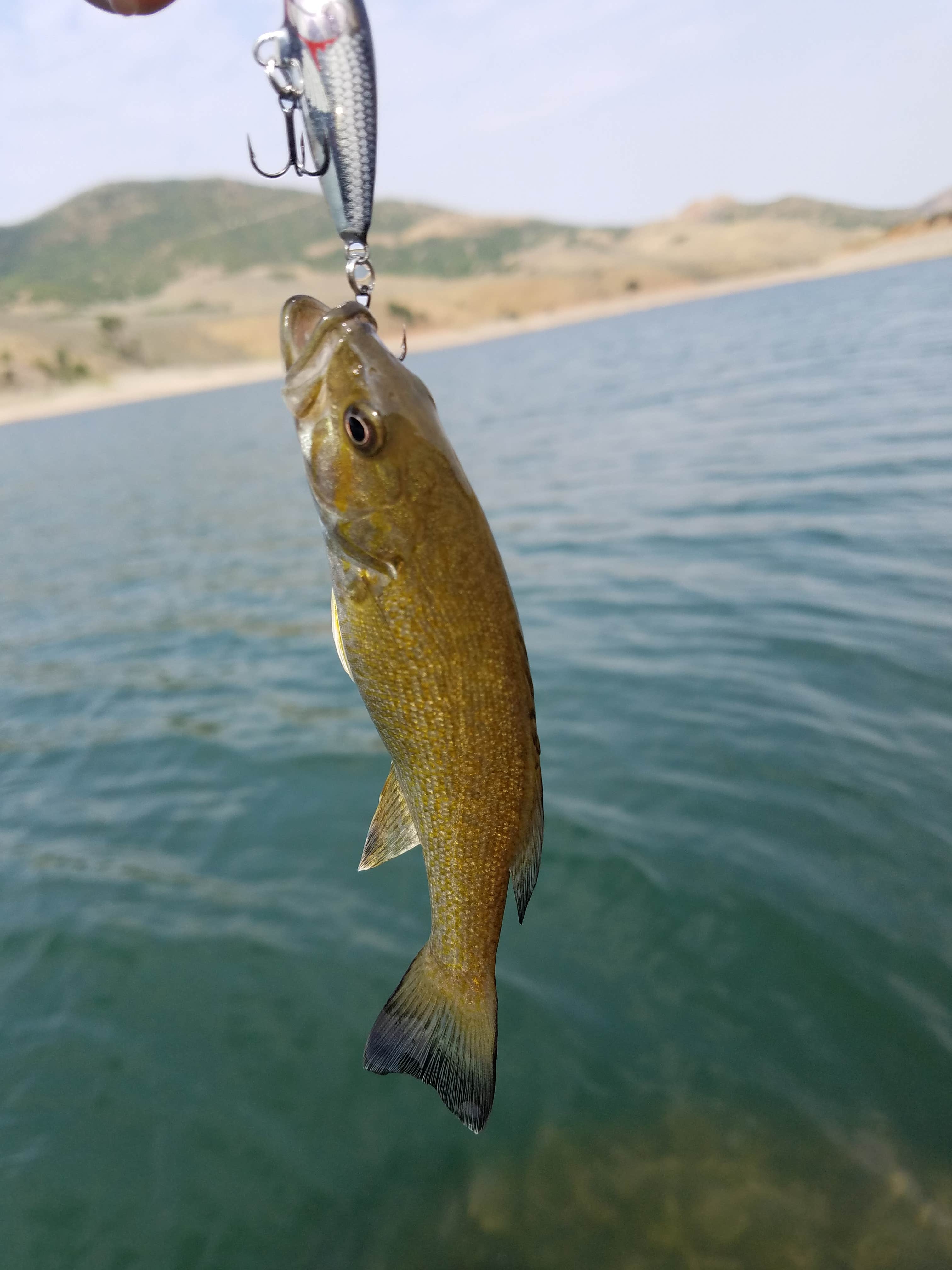 Camper-submitted photo at Dixie Creek Campground — East Canyon State Park near Evanston, WY